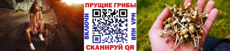 Псилоцибиновые грибы GOLDEN TEACHER  магазин  наркотиков  Саяногорск 